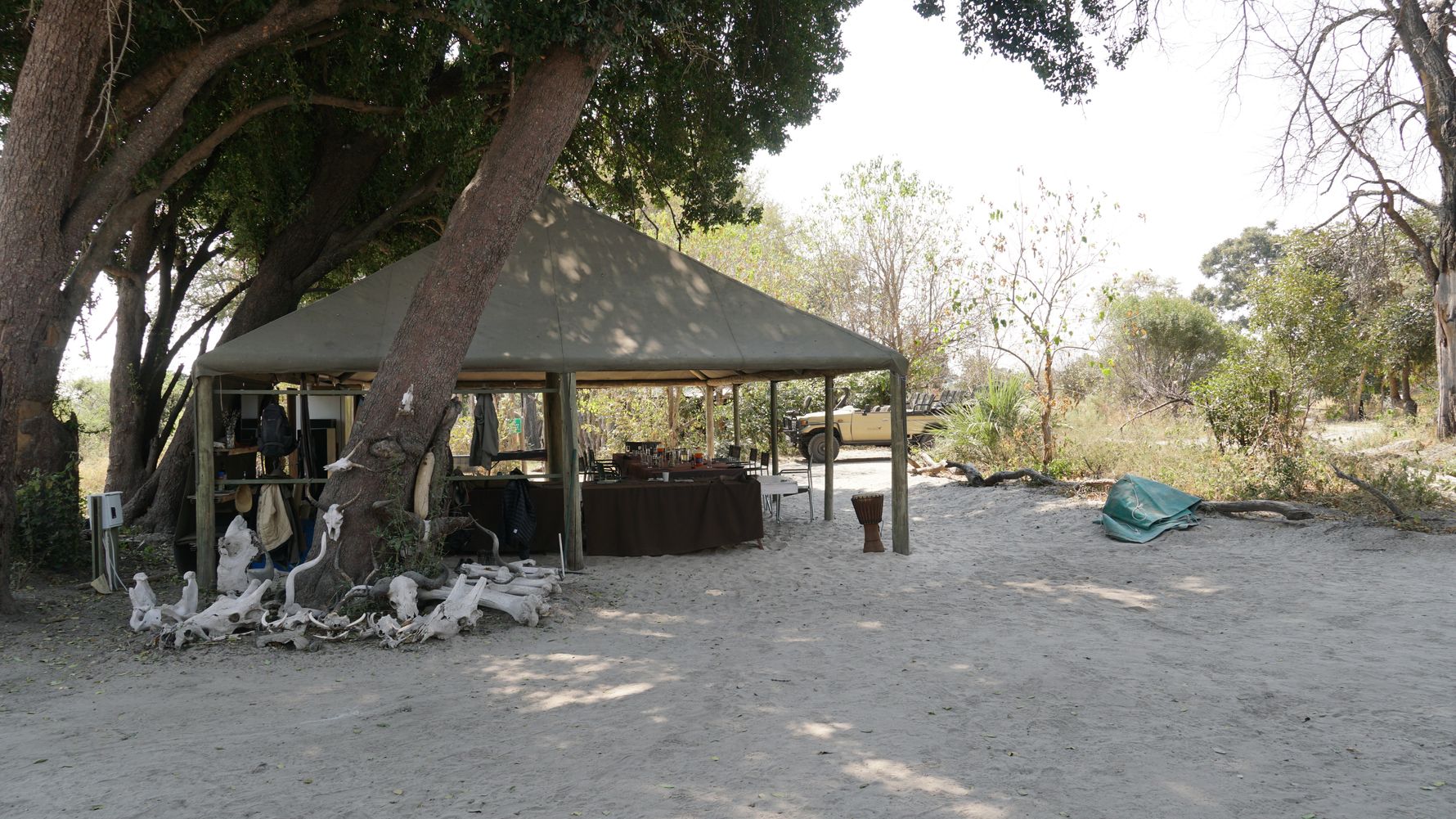 erfahrungsberichte-rangerkurse-botswana-field-guide-training-walter-camp-kwapa-natucate