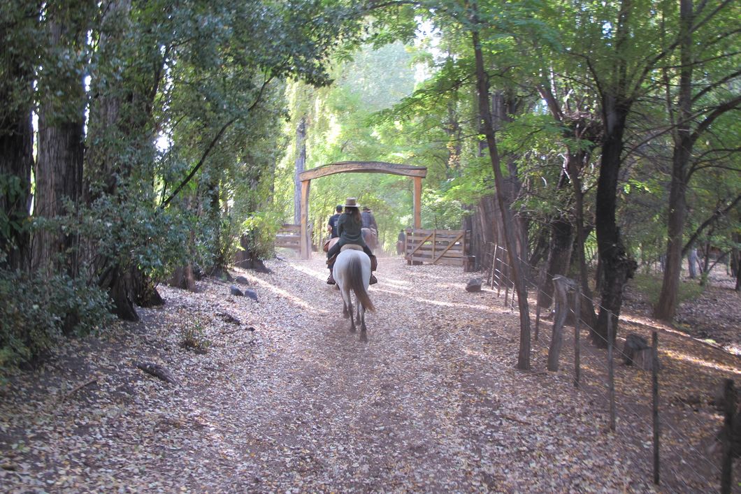 Eine Gruppe von Teilnehmern reiten entlang einer Allee auf einen Torbogen zu