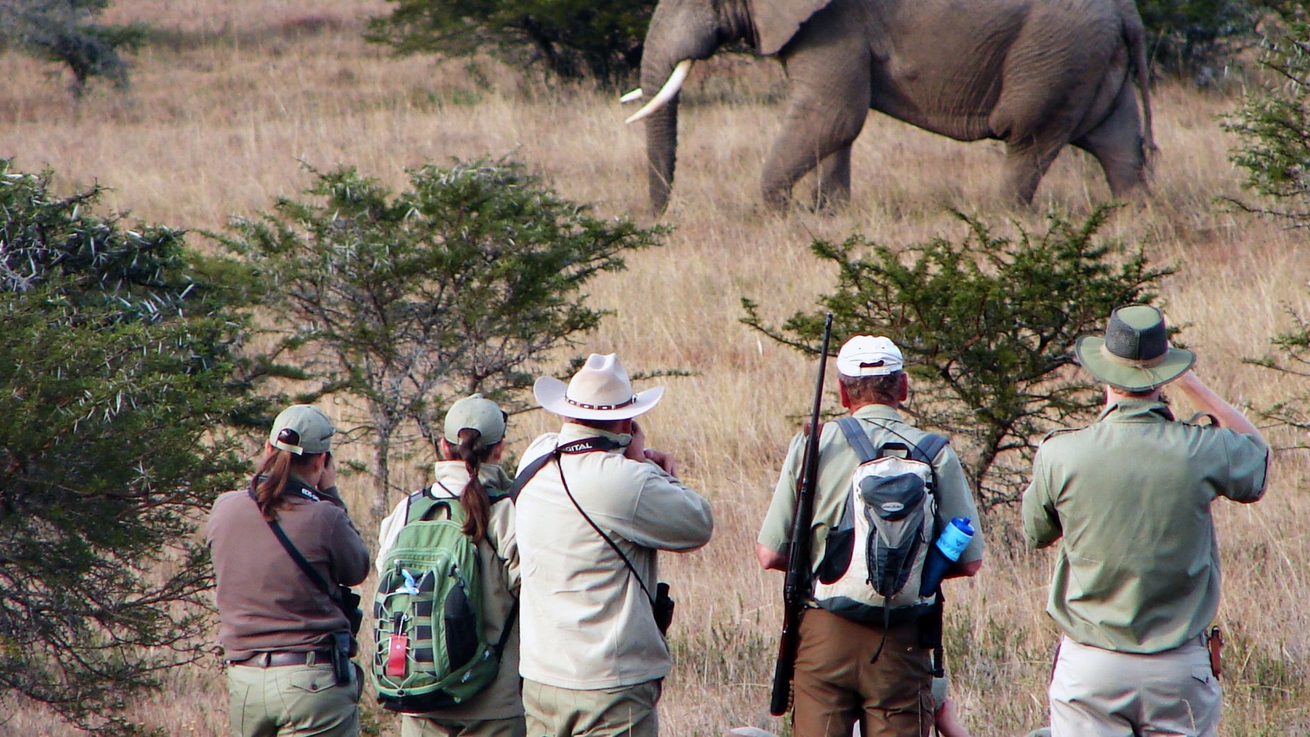 Trails Guide-Studenten auf einem Pirschgang im Amakhala Game Reserve; bei einem Stopp beobachten sie nun einen Elefanten