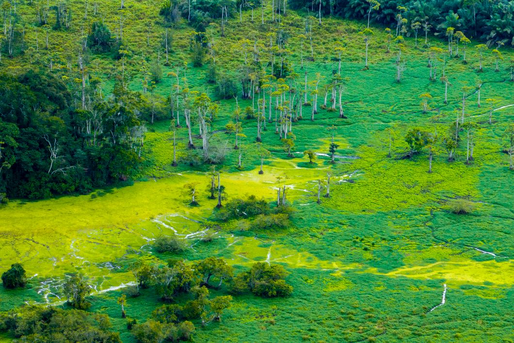natucate-nature-travel-gabon-wilderness-trails-landscape-greenery