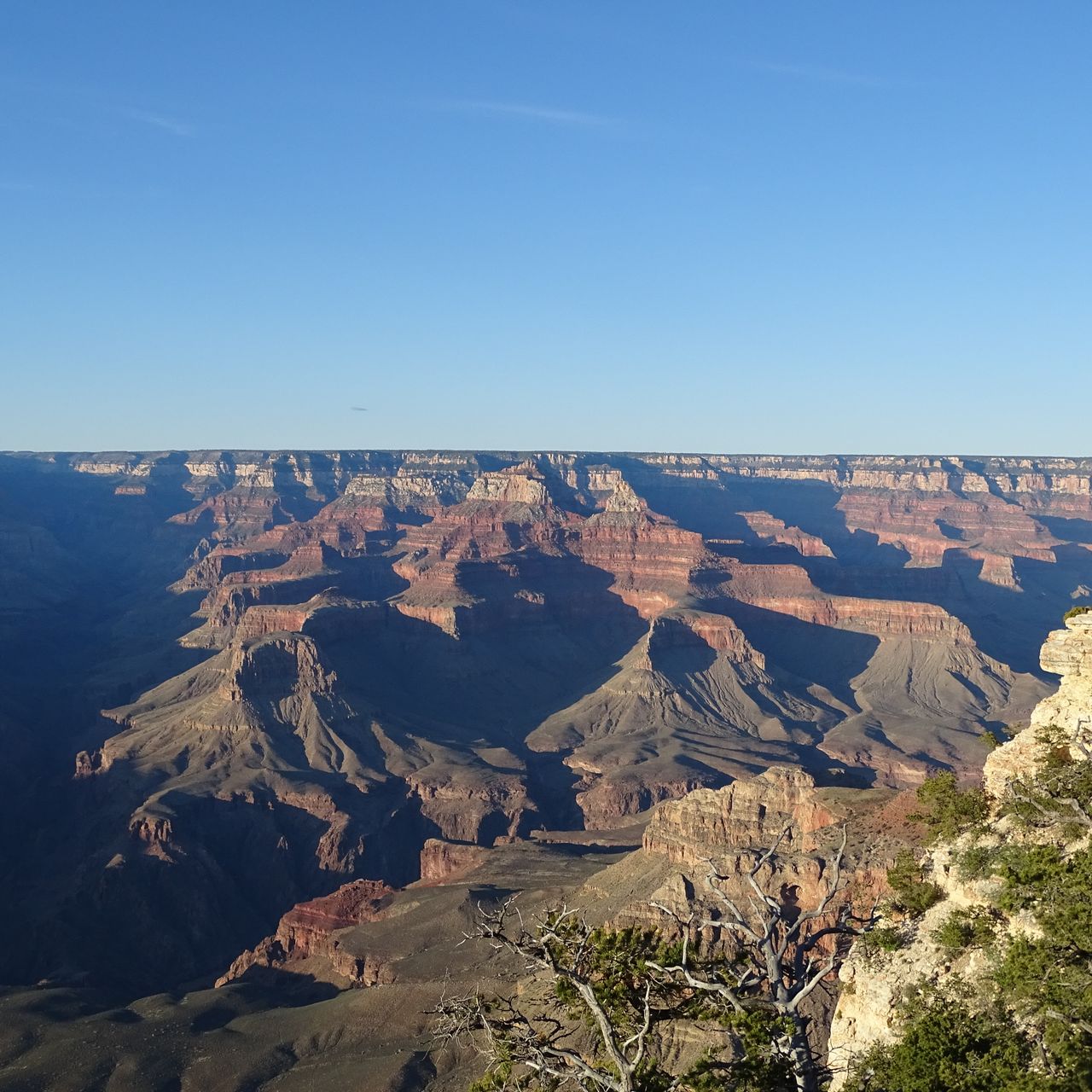freiwilligenarbeit-usa-kalifornien-erfahrungsbericht-kundenfotos-naturschutz-canyon-natucate