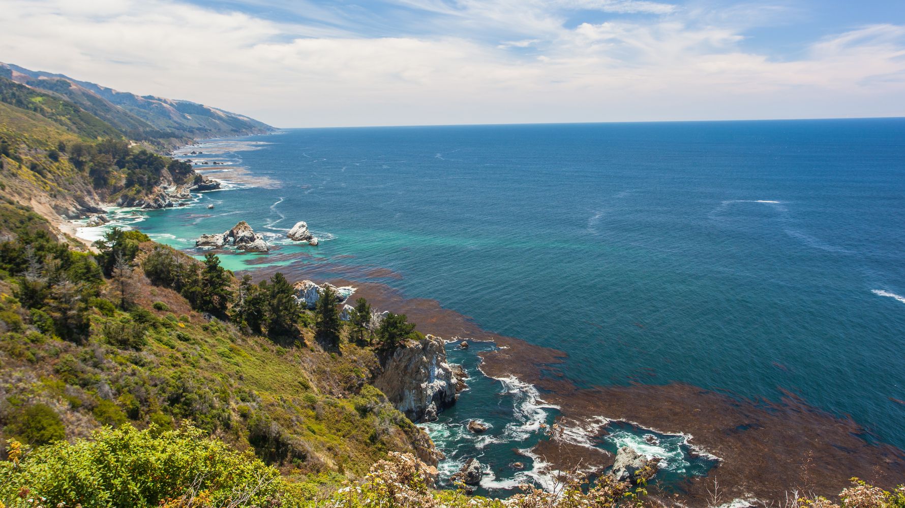 blog-wissen-vaquita-dont-quit-natucate-kueste