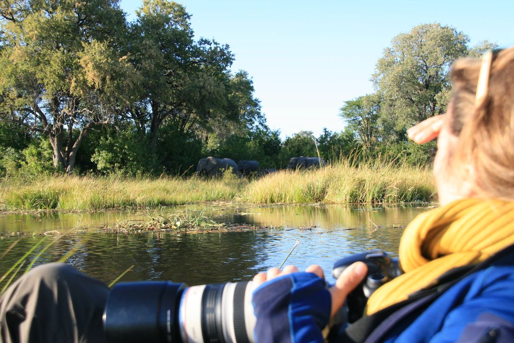 Fotografin haelt vom Wasser aus Ausschau nach einer sich naehernden Elefantenherde waehrend einer Erlebnisreise