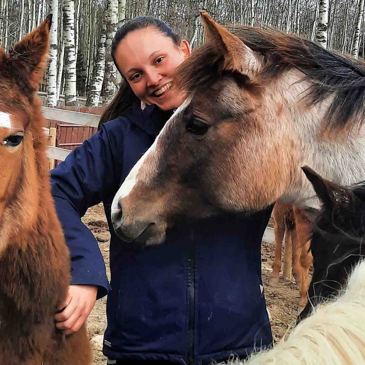 erfahrungsberichte-freiwilligenarbeit-kanada-pferdeschutz-lisa-natucate-volunteer-umgeben-von-pferden