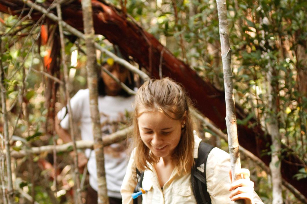 Voluntary helpers in Borneo's Sabangau rainforest help conserve the pristine nature.
