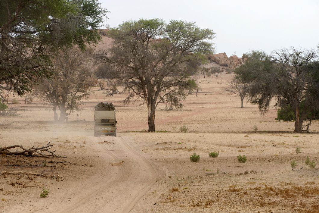 sabbatical-namibia-seychellen-wueste-wasser-damaraland-drive-natucate