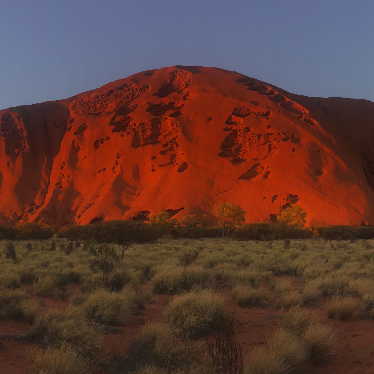 freiwilligenarbeit-australien-erfahrungsbericht-naturschutz-ayers-rock-natucate