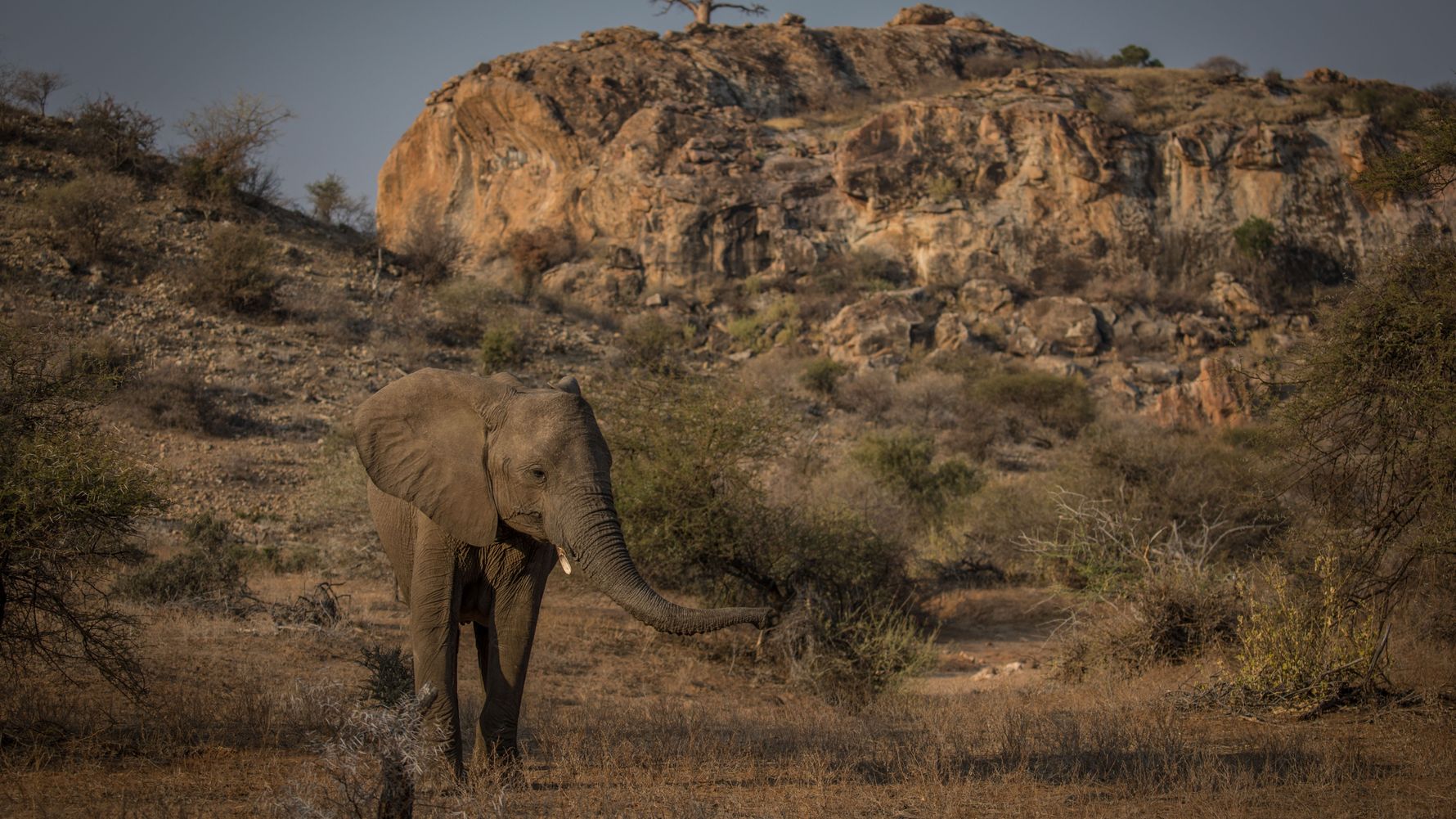 blog-ratgeber-botswana-mashatu-landschaft-stein-natucate