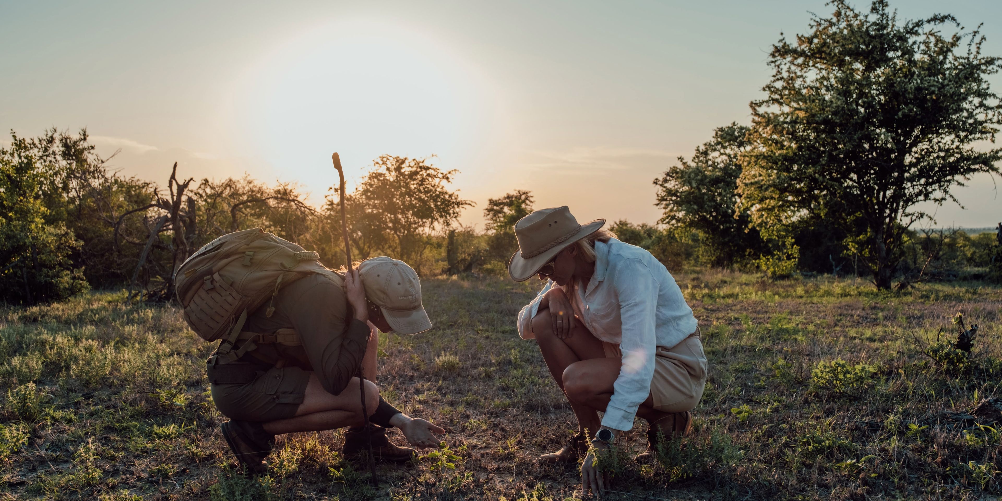 natucate-naturreise-wildtier-tracking-lowveld-spurenlesen