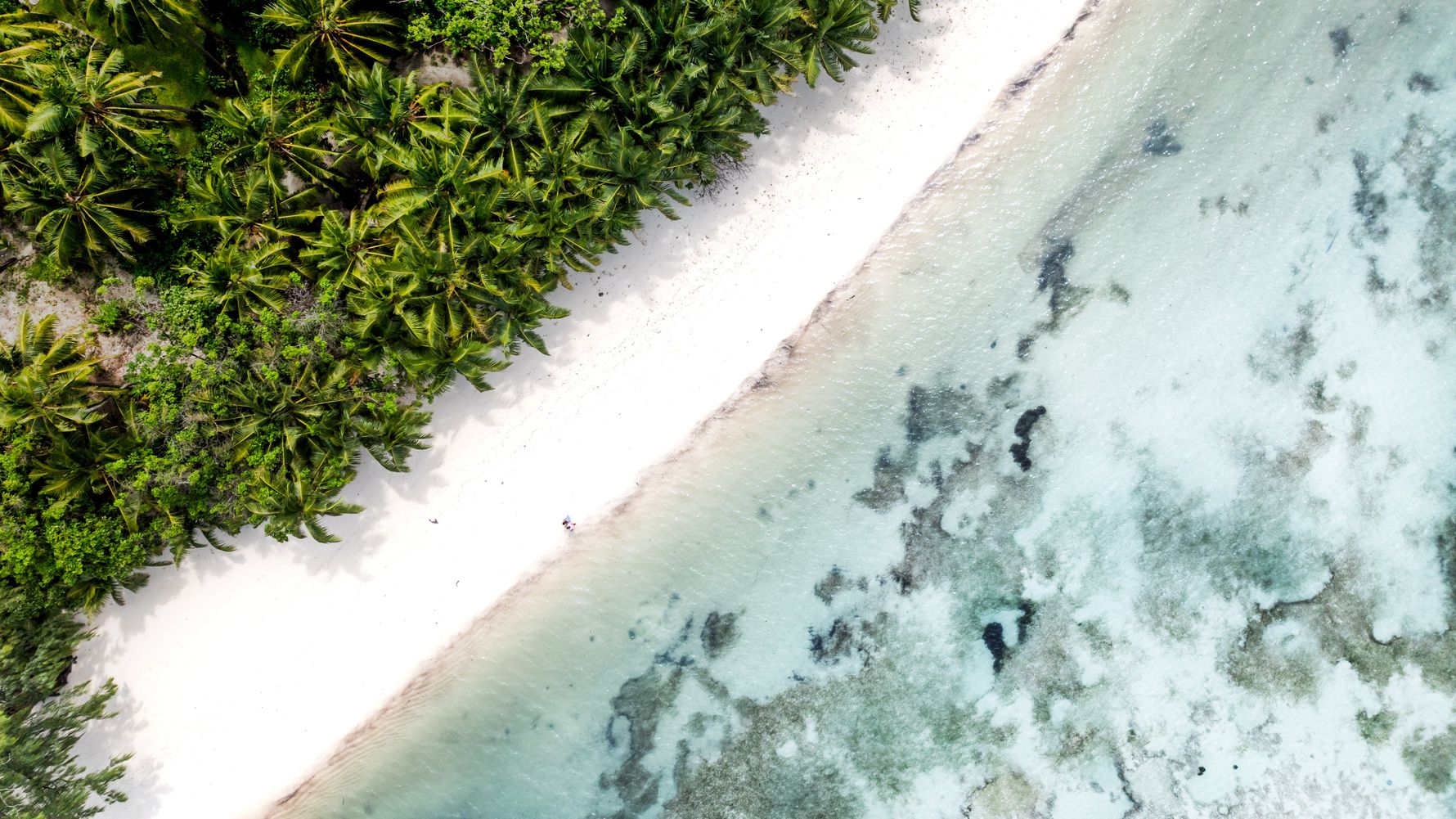 natucate-travel-volunteering-seychelles-platte-island-beach-birdview