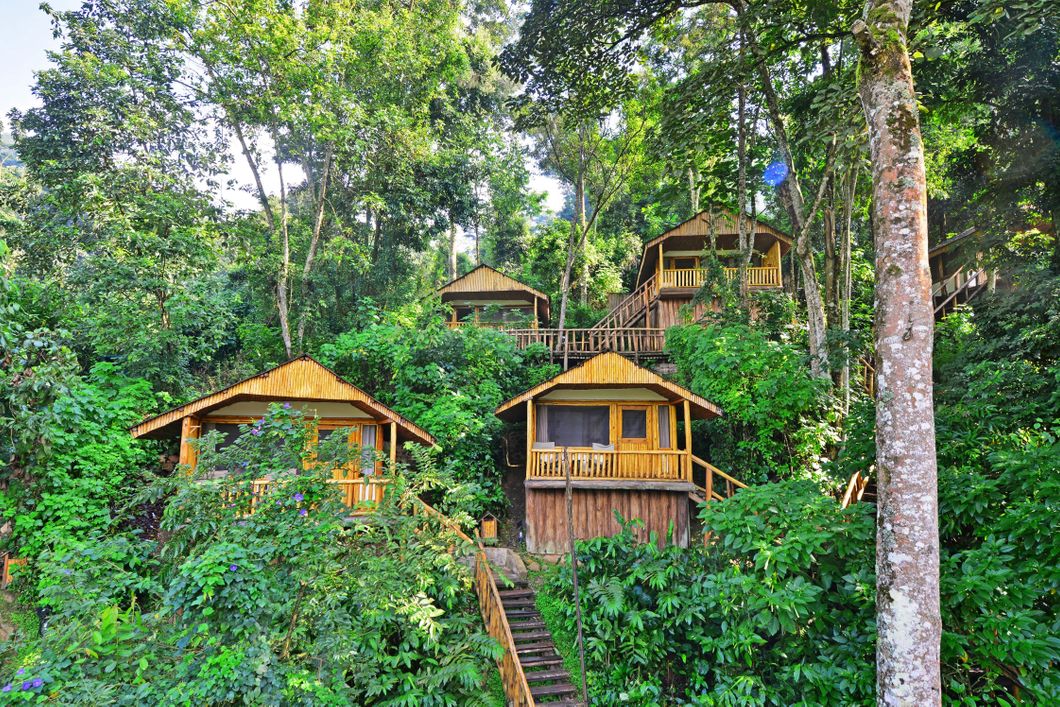 Wooden houses on the hill
