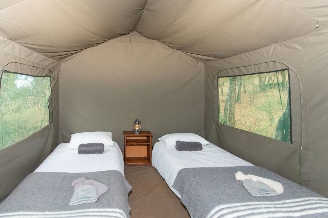freiwilligenarbeit-suedafrika-siyafunda-wildlife-monitoring-tent-inside-natucate