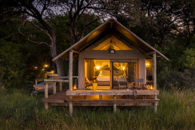 safari-botswana-delta-delights-okavango-little-sable.room