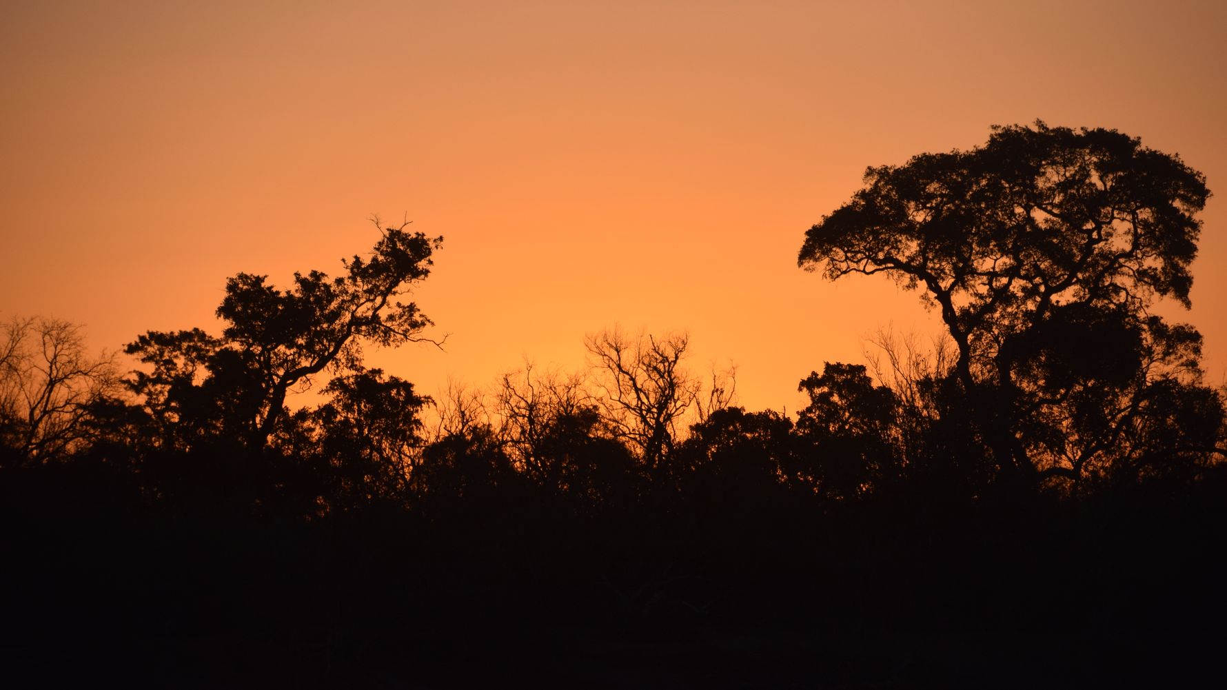 erfahrungsberichte-naturreise-afrika-private-wilderness-experience-marion-baeume-schatten-natucate