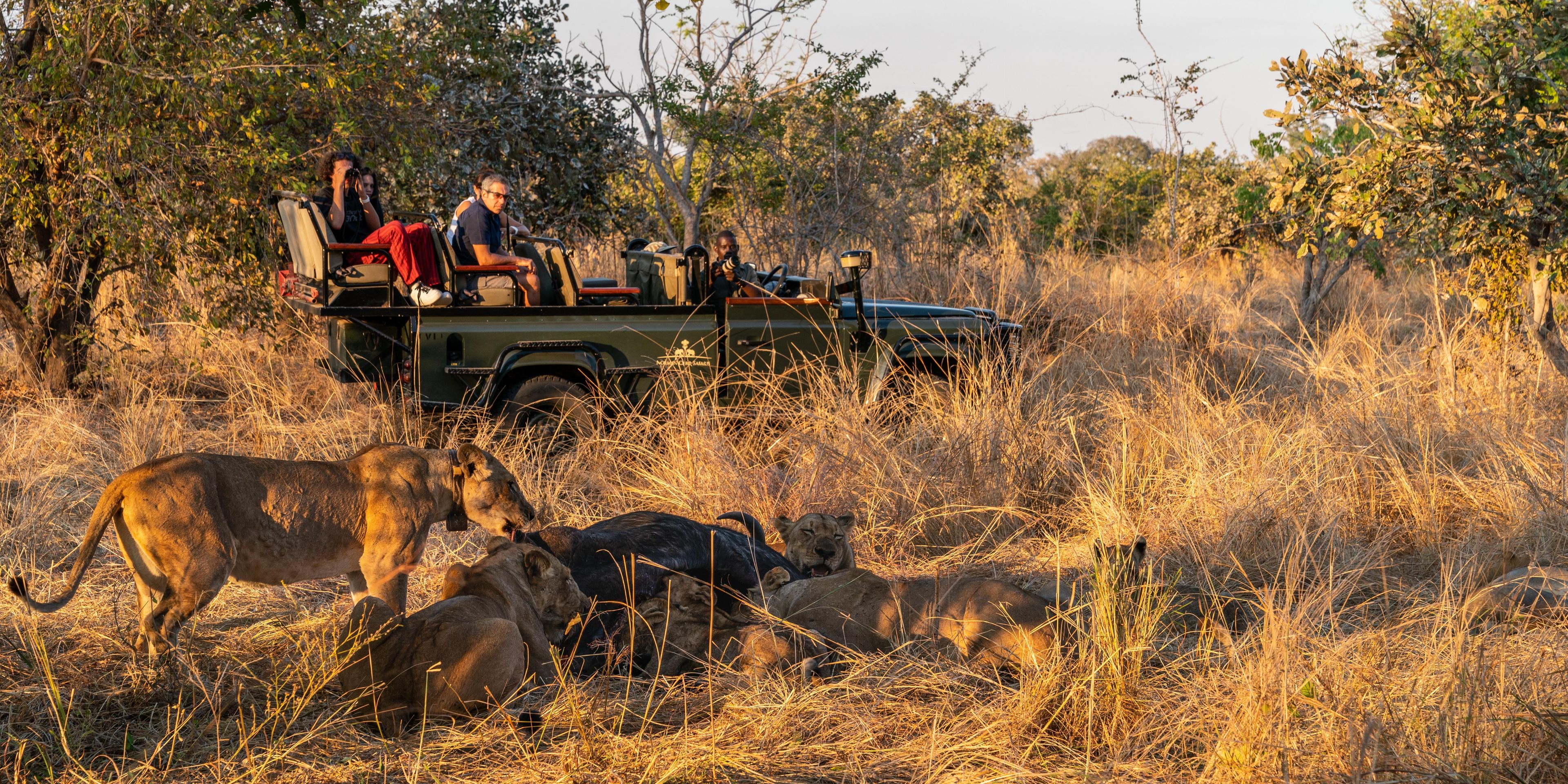 safari-sambia-south-luangwa-lower-zambezi-game-drive-loewen-rudel-sonnenuntergang-natucate