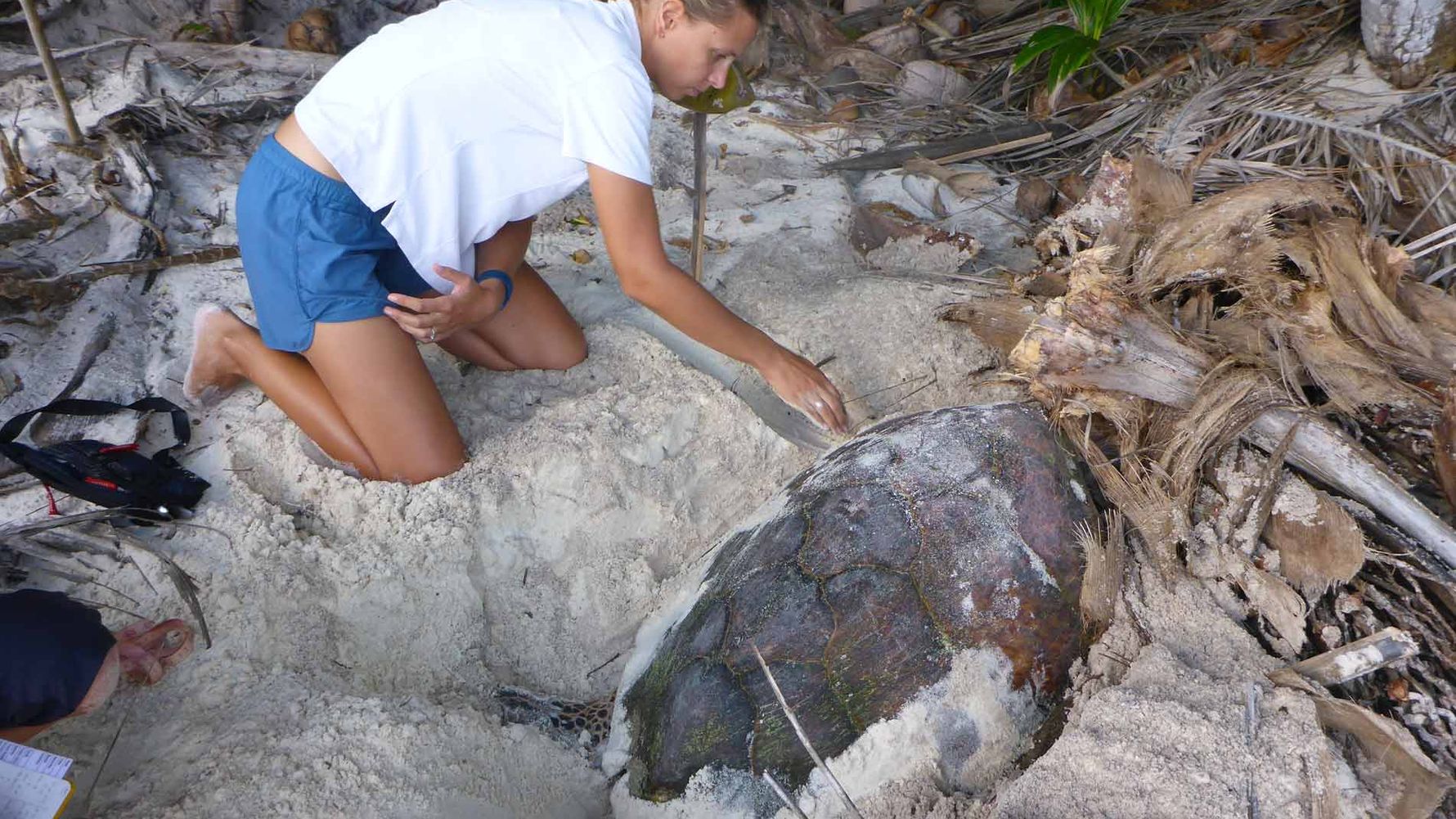freiwilligenarbeit-seychellen-erfahrungsbericht-kundenfotos-natucate