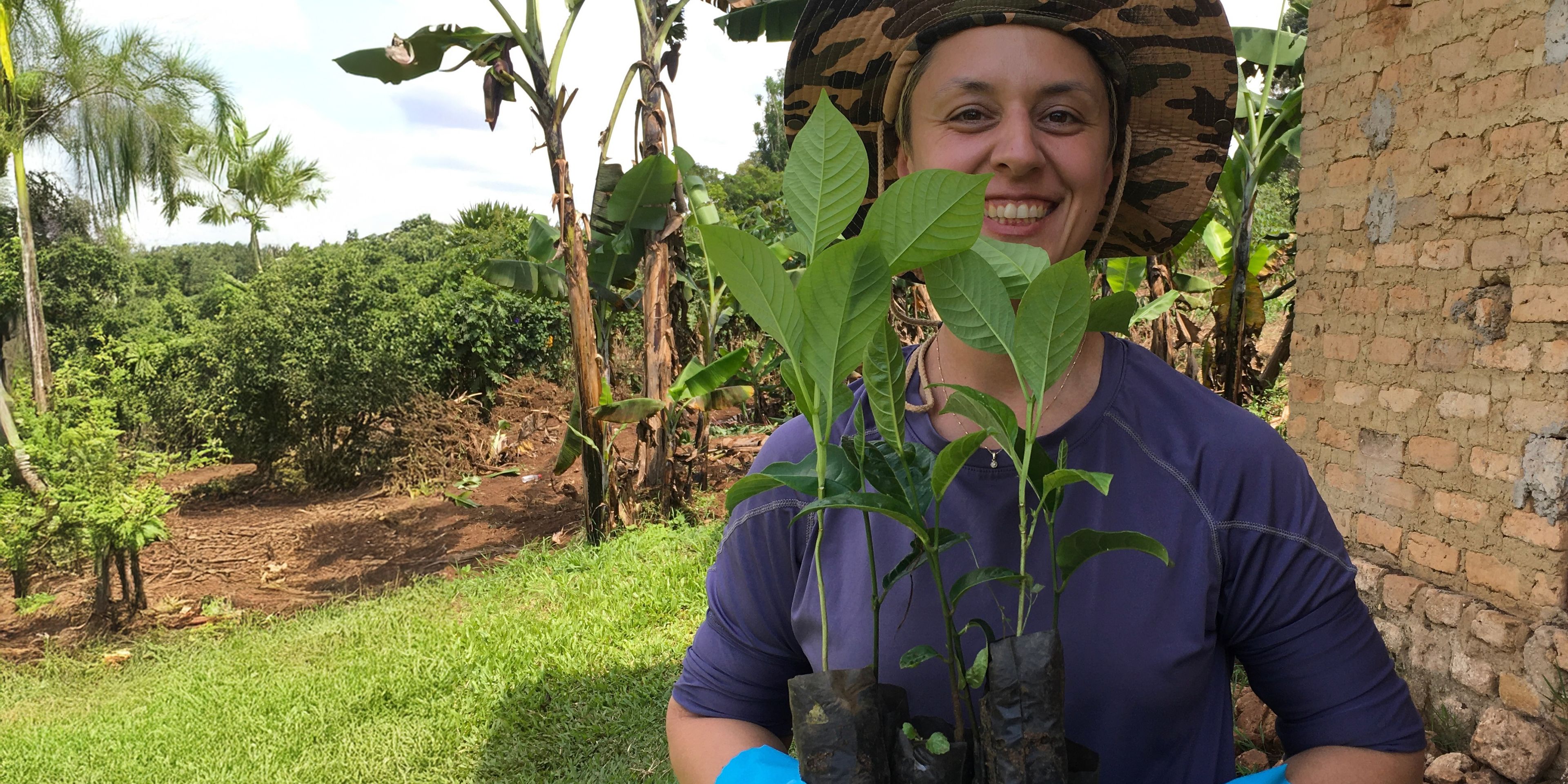natucate-volunteering-uganda-chimpanzee-project-seedlings