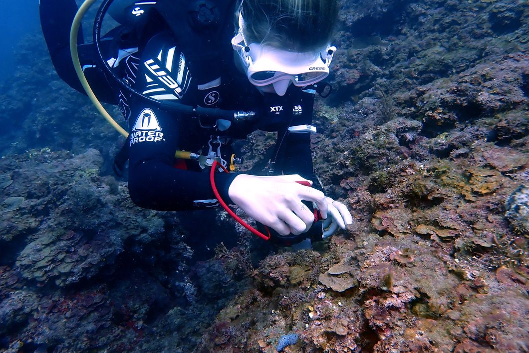 natucate-volunteering-panama-underwater-reseach-camerajpg