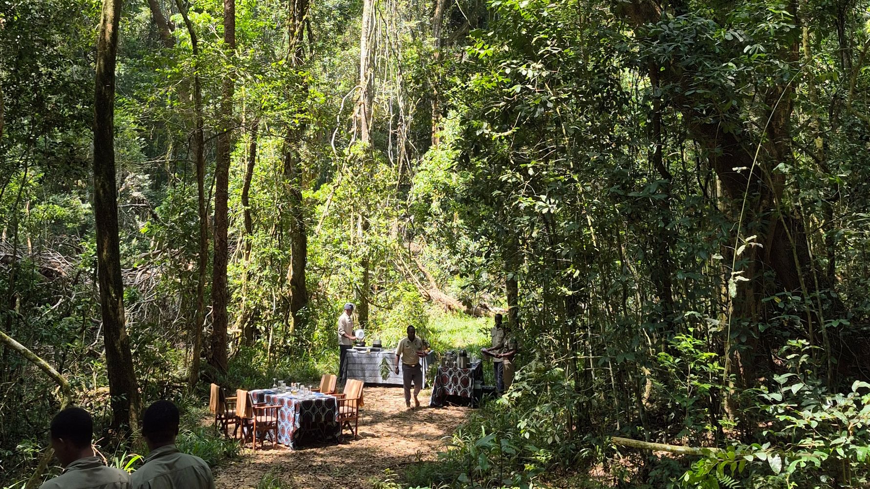 Lunch im Wald