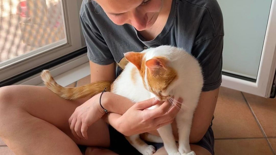 freiwilligenarbeit-griechenland-tierschutz-elli-12