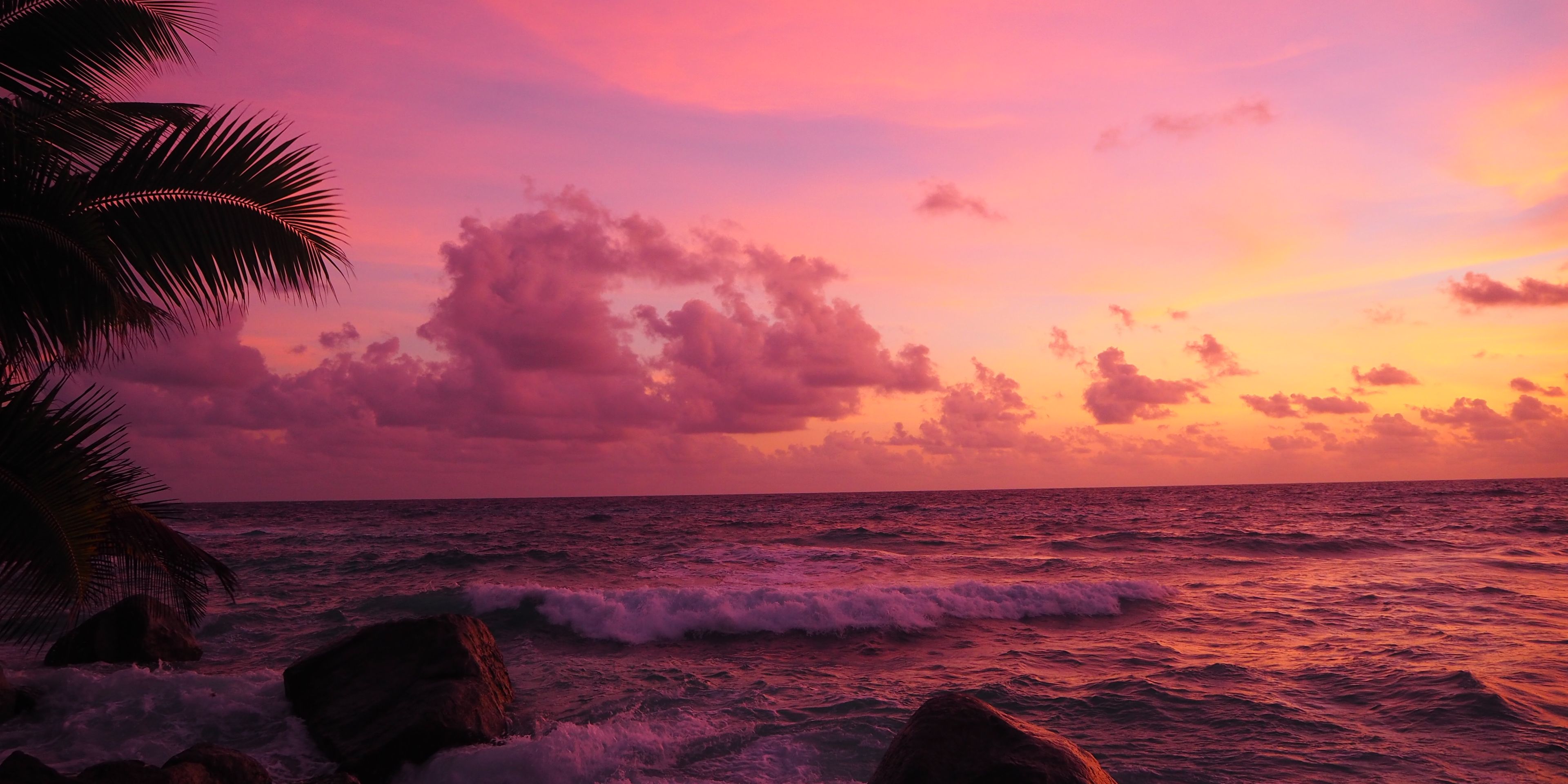 Stay abroad in Africa: The sea off North Island is covered in the evening sun's red and pink light