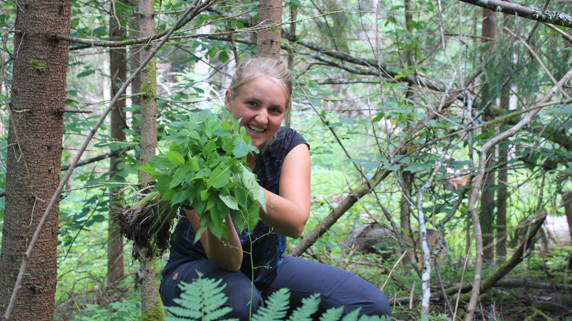 Female conservation volunteer at work in a forest in Estonia