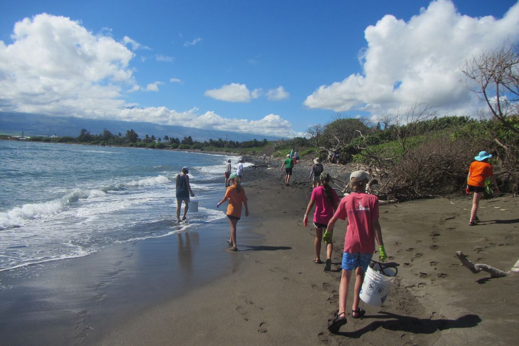 Conservation in the USA: A group of international volunteers working on a Hawaiian beach