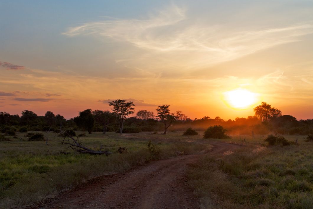 natucate-safari-simbabwe-off-the-beaten-path-luangwa-nationalpark-sunset