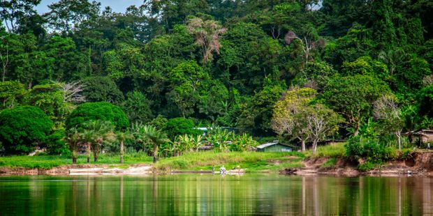 gabon-country-information-rainforest-village