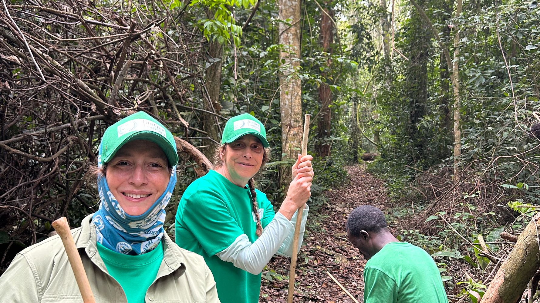 Group trekks in the forest