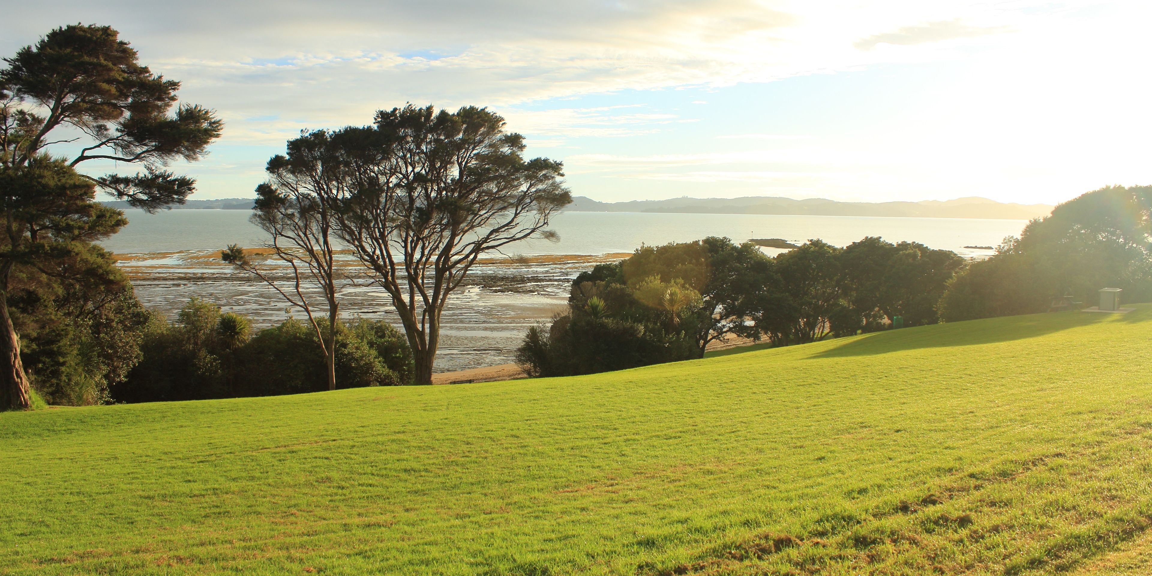 natucate-reisen-freiwilligenarbeit-neuseeland-landschaft-wiese