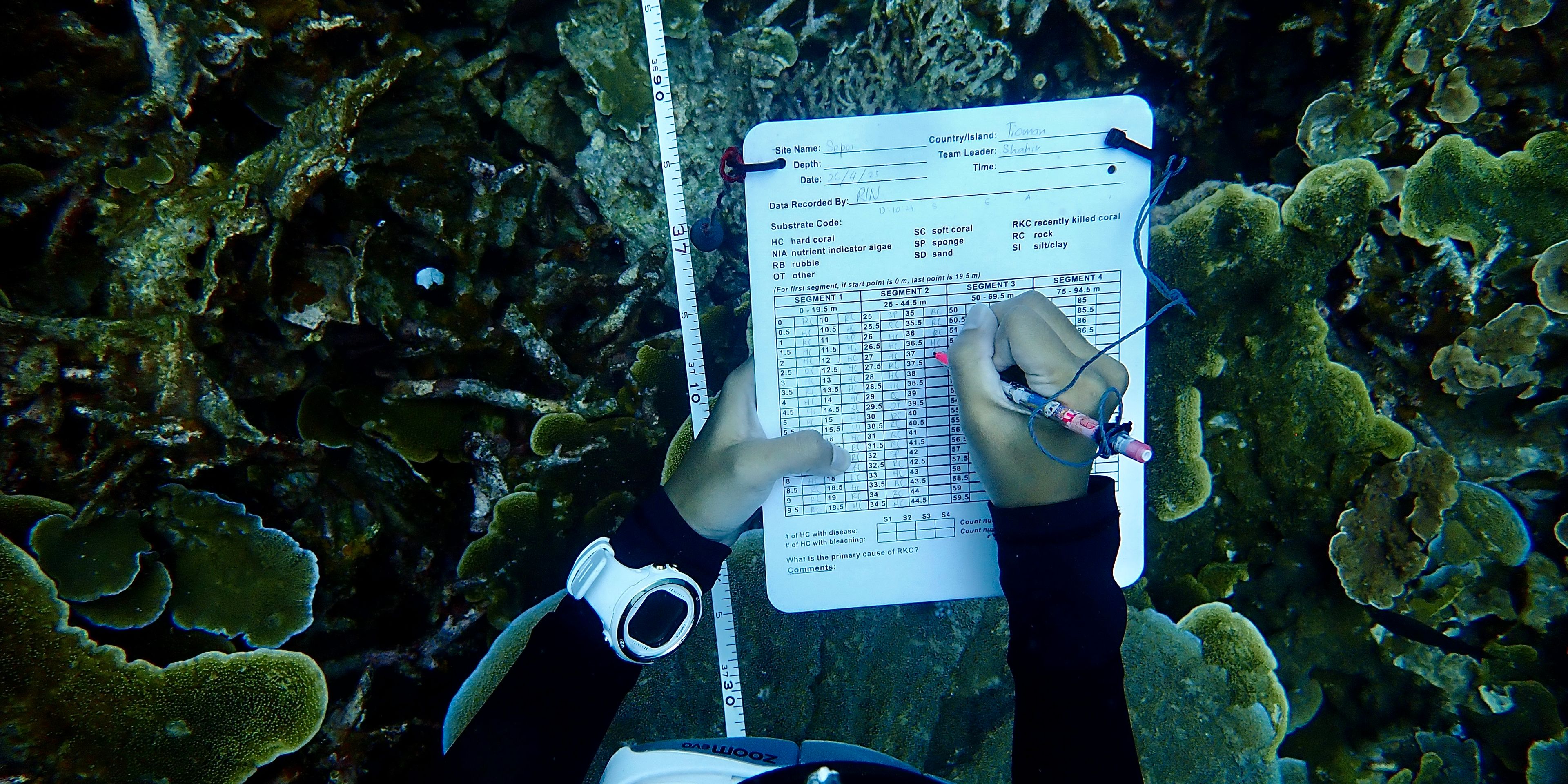 Taucher schreibt Daten unterwasser auf