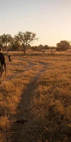 Kursteilnehmer einer Private Wilderness Experience durchqueren eine Grassavanne im suedlichen Afrika