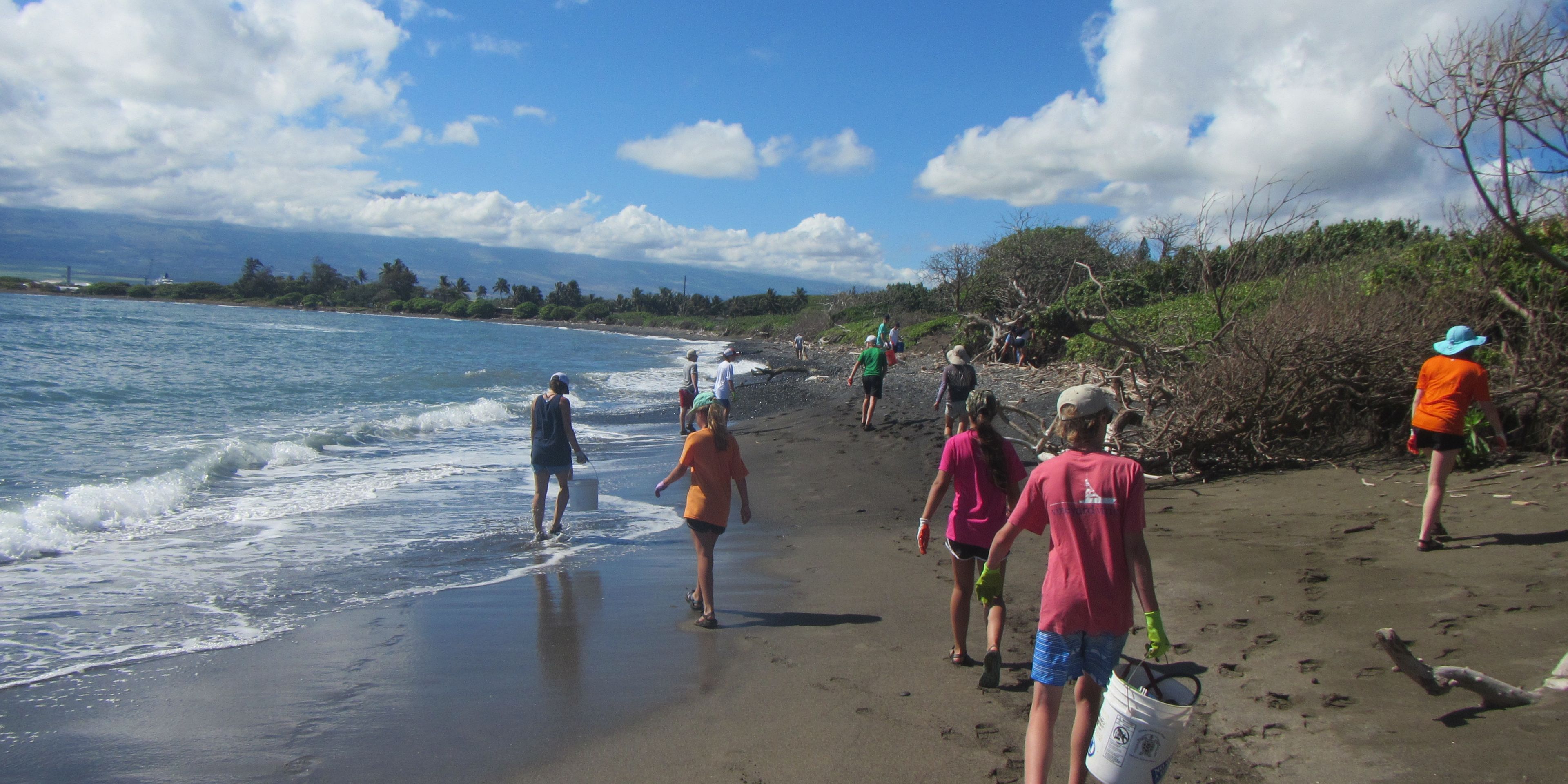 Conservation in the USA: A group of international volunteers working on a Hawaiian beach