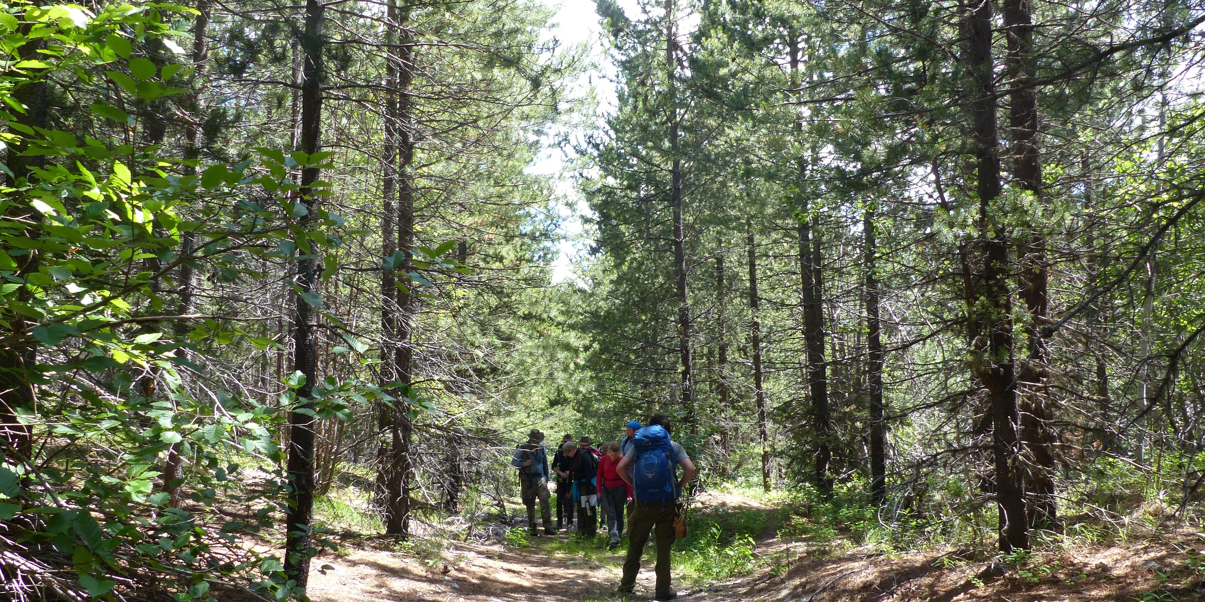 Eine Gruppe von Studenten der Rangerausbildung bereitet sich im Wald auf das Ueberlebenstraining vor