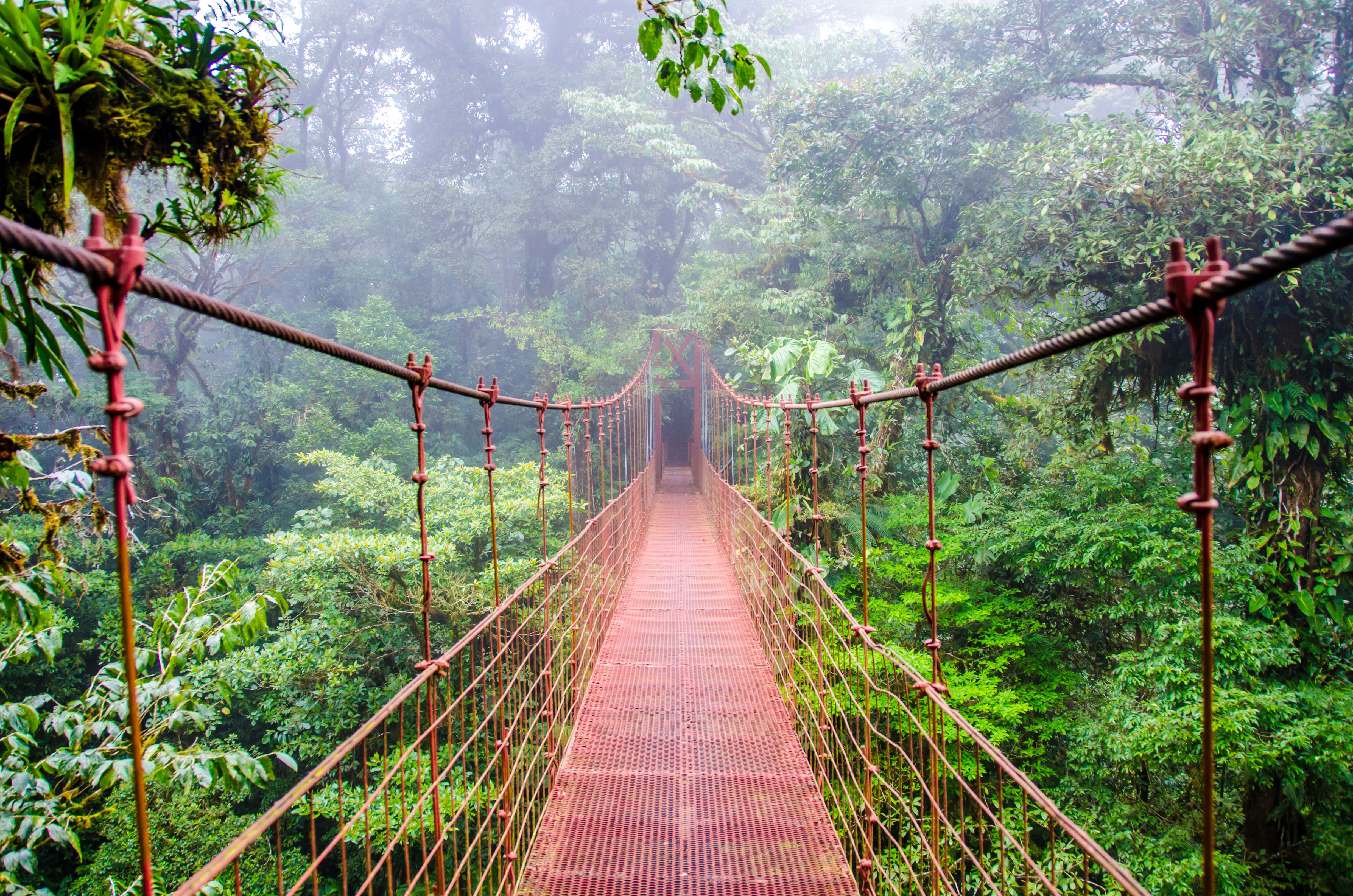 leven Conjugeren vernieuwen Costa Rica Country Information ⋅ Natucate