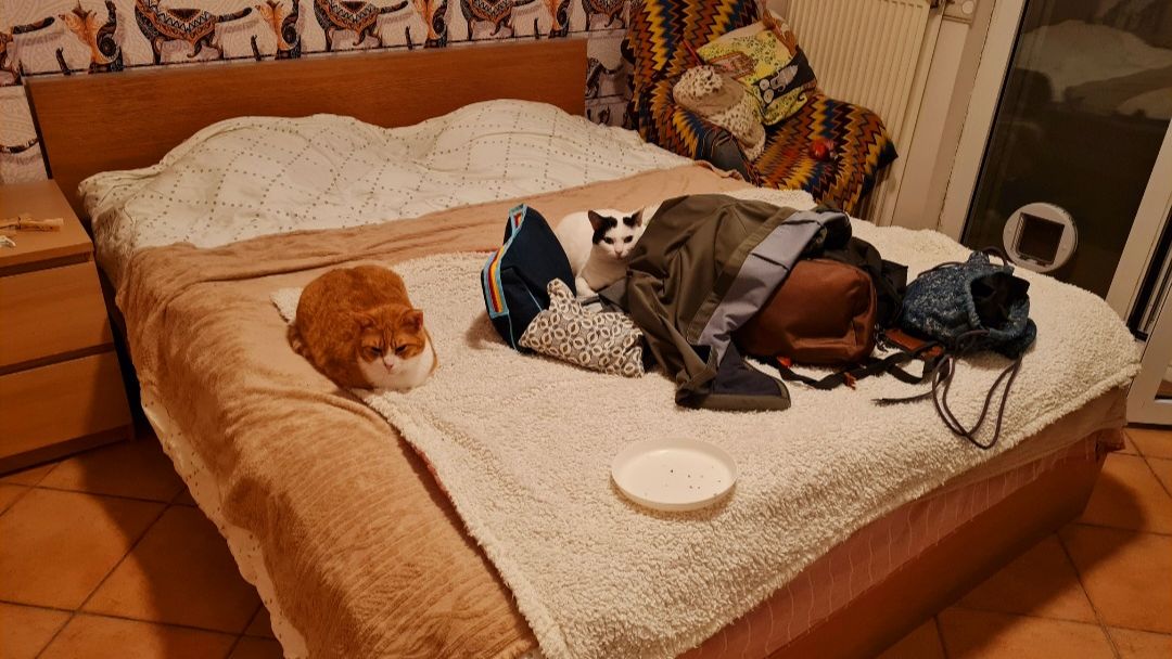 freiwilligenarbeit-griechenland-tierschutz-elli-3