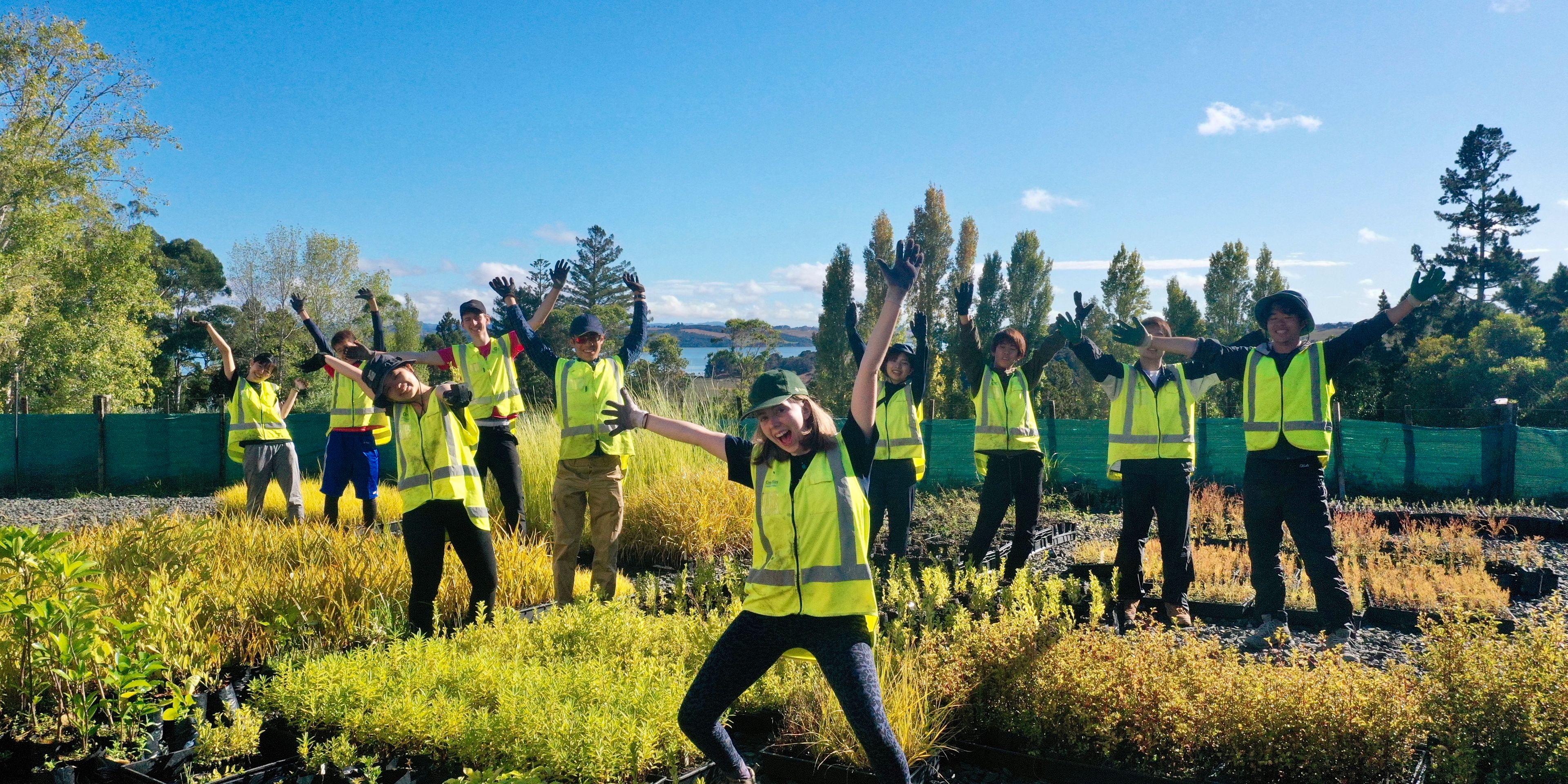 natucate-reisen-freiwilligenarbeit-neuseeland-atiu-creek-auckland