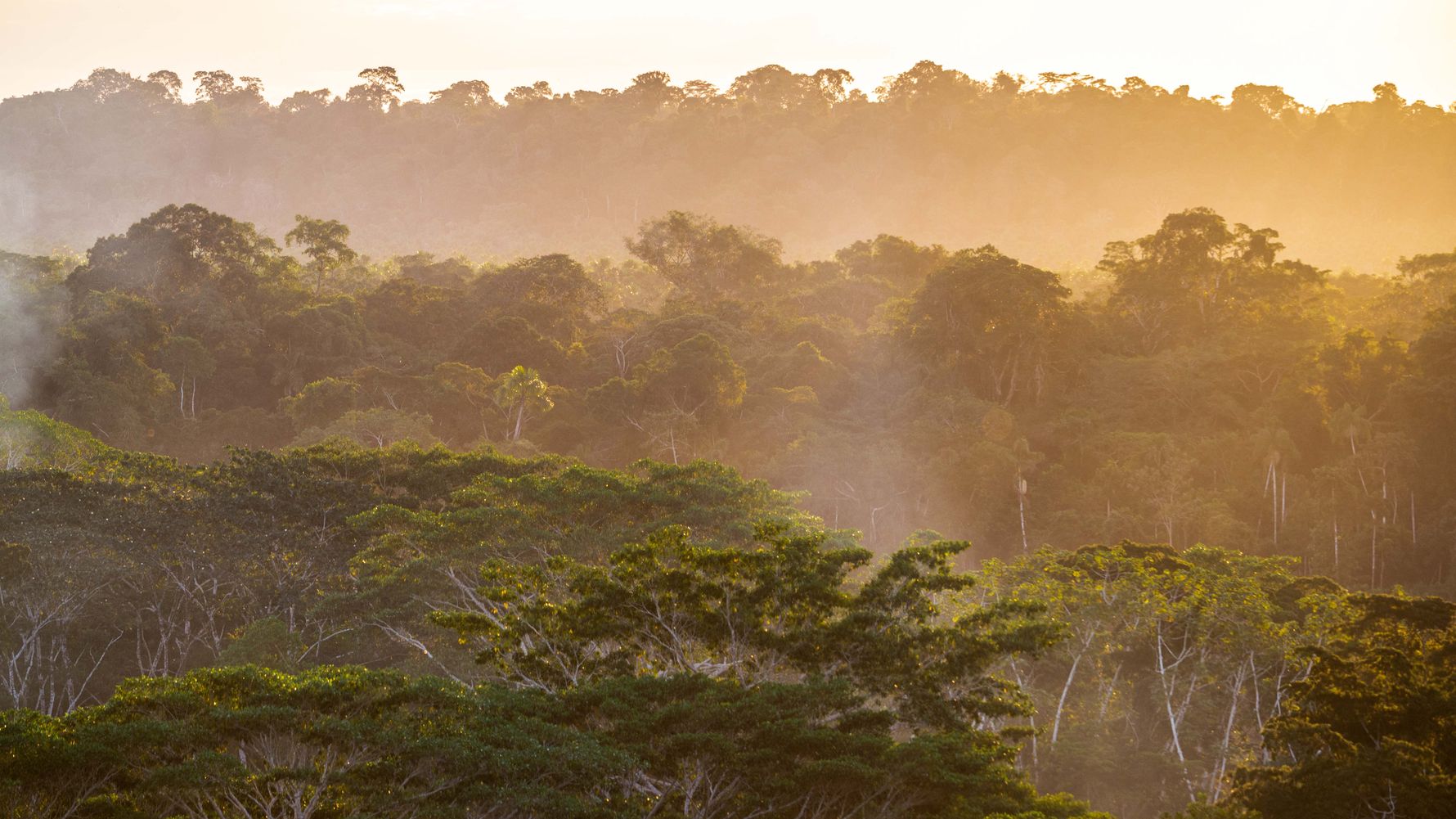 erfahrungsbericht-auslandspraktikum-peru-primatenkommunikation-lydia-amazonas-regenwald-natucate