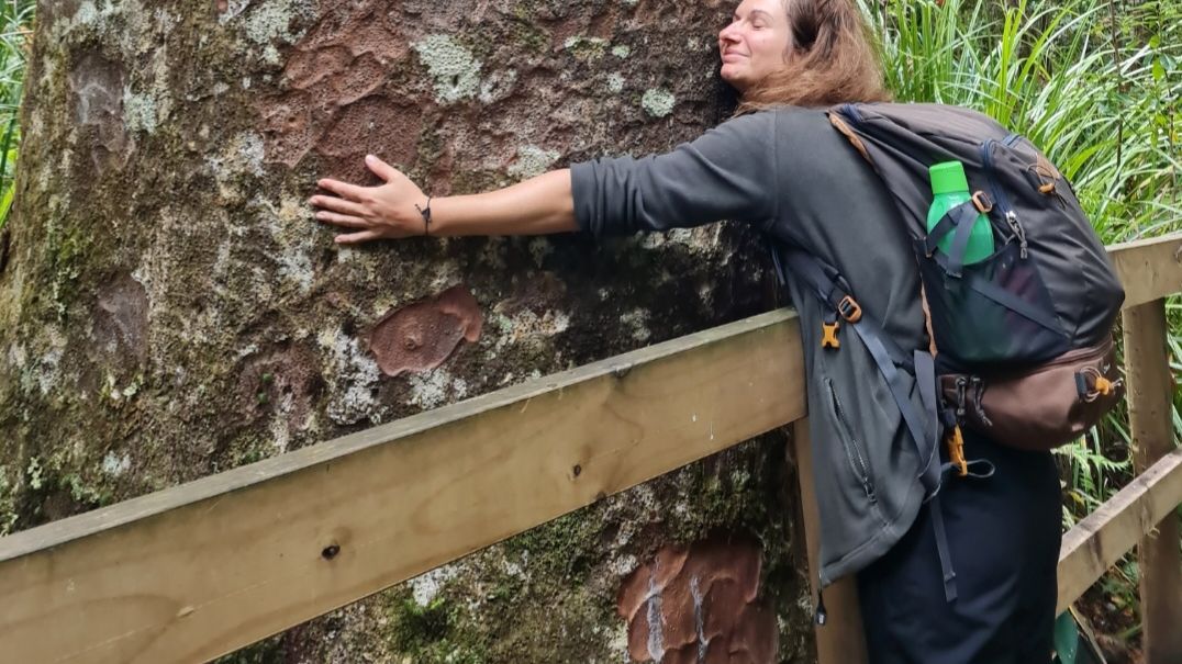 natucate-blog-review-volunteering-kauri-coast-ellie-tree-hugging