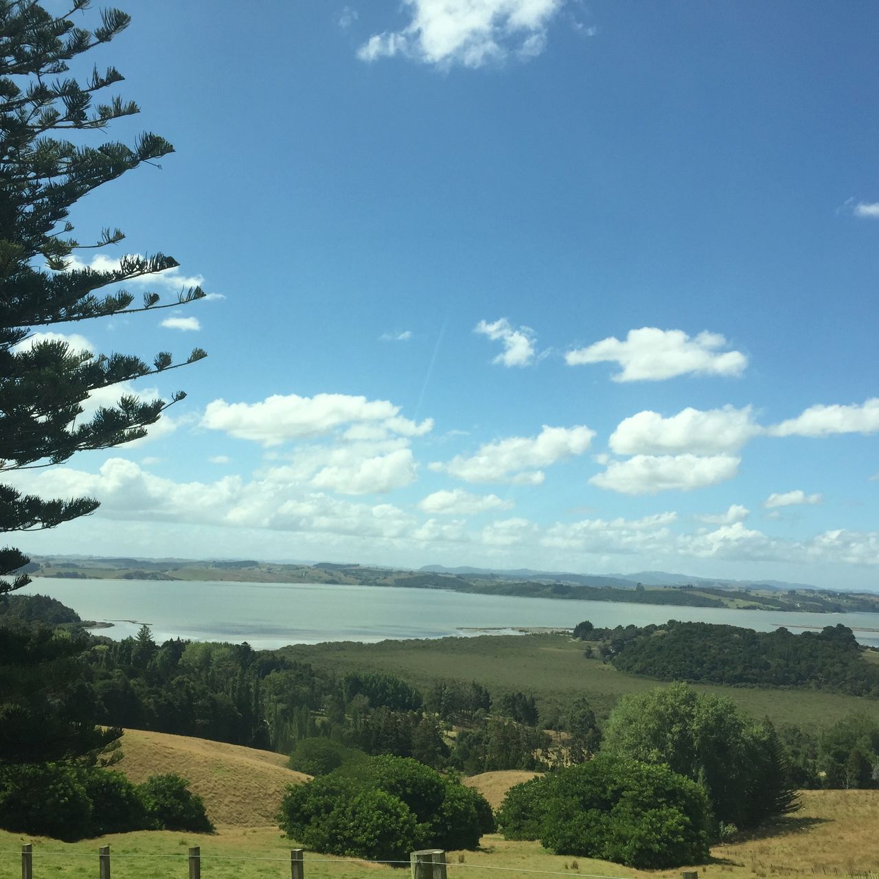 erfahrungsberichte-freiwilligenarbeit-neuseeland-naturschutz-lara-blauer-himmel-natucate