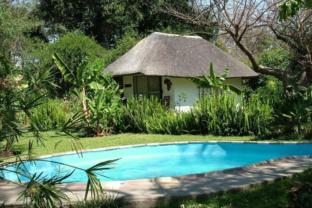 reise-safari-delta-caprivi-nambwa-lodge-pool