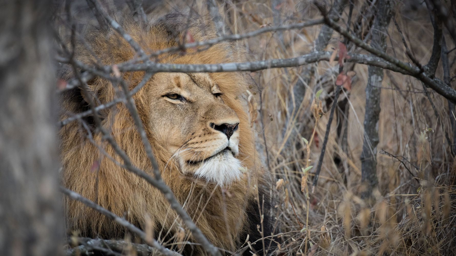 geruch-der-natur-afrika