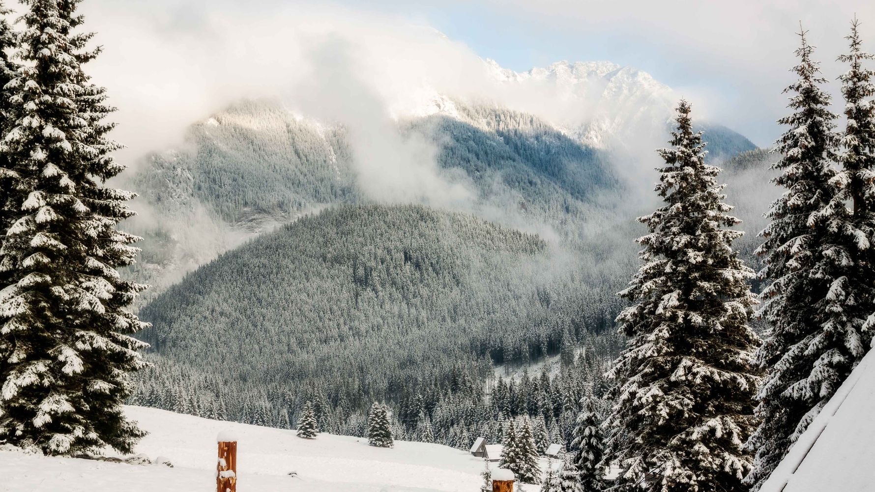 Beautiful view of the forests in Slovakia
