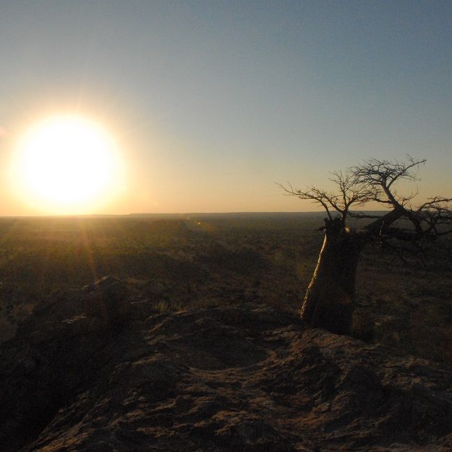 erfahrungsberichte-suedliches-afrika-fgl1-rangerausbildung-landschaft-natucate