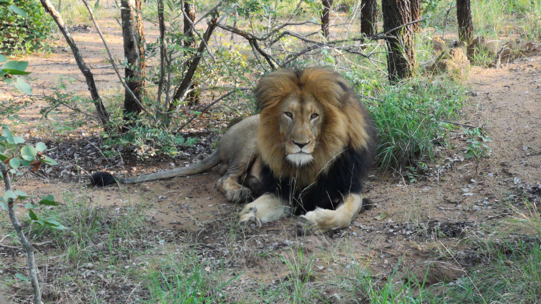erfahrungsberichte-naturreise-suedafrika-ecoquest-caroline-loewe-natucate
