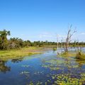 reiseorte-sri-lanka-wasgamuwa-nationalpark-wasser-fluss-natucate