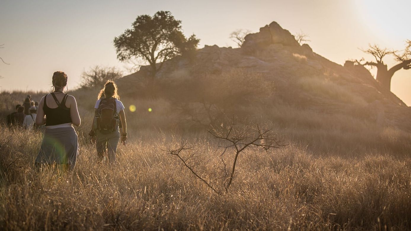 blog-sabbatical-mut-zur-auszeit-safari-natucate