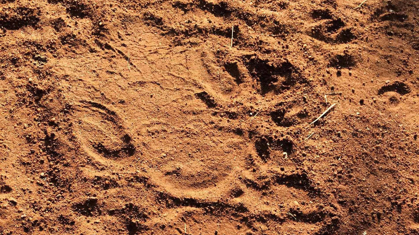 erfahrungsberichte-suedliches-afrika-pfg-rangerausbildung-spuren-natucate