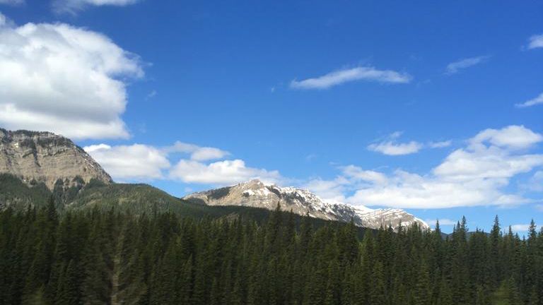 erfahrungsbericht-freiwilligenarbeit-kanada-alberta-pferdeschutz-anna-berge-wald-natucate